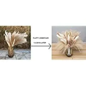 62 Pcs Pampas Grass，Natural Dried Pampas Grass for Flower Arrangements Home Decor / 15 Pcs White Pampas & 15 Pcs Brown Pampas & 32 Pcs Reed Grass