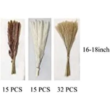 62 Pcs Pampas Grass，Natural Dried Pampas Grass for Flower Arrangements Home Decor / 15 Pcs White Pampas & 15 Pcs Brown Pampas & 32 Pcs Reed Grass