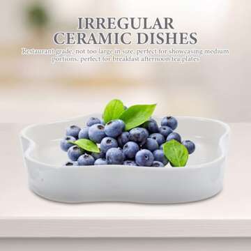 Cabilock 2pcs Poached Egg Ceramic Plate Steak Plate Dessert Trays Food Serving Plate Irregular Snack Dishes for Desserts Salads Fruits Steaks Pasta