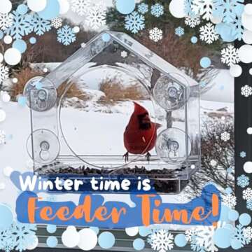 Window Bird Feeder 2-Pack - Enhanced Suction Grip for Bird Watching