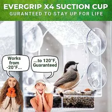 Window Bird Feeder 2-Pack with Enhanced Suction Grip
