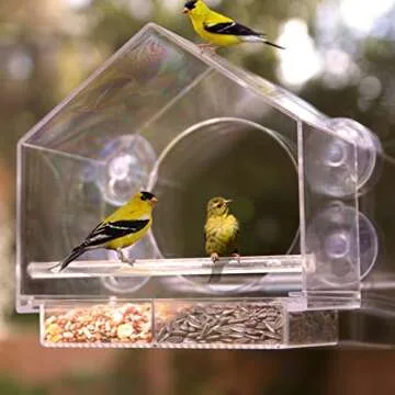 Window Bird Feeder 2-Pack with Enhanced Suction Grip