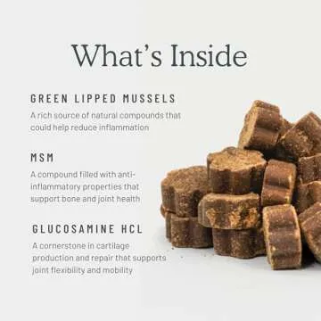 Get Joy Joint+ Hip & Joint Care Dog Supplement Chews, 90 Soft Chews, Chicken Flavor, Supports Joint & Mobility Health, with Green Lipped Mussels, PhD Animal Nutritionist Formulated, Produced in USA