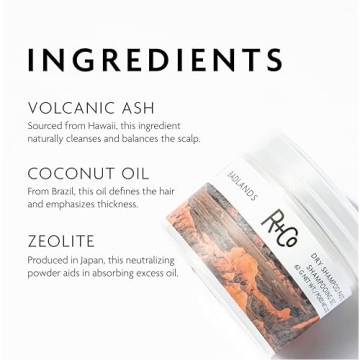 R+Co Badlands Dry Shampoo Paste for All Hair Types