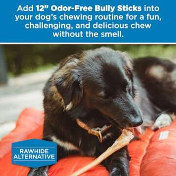 Best Bully Sticks 12 Inch Odor-Free Bully Sticks for Dogs - 12 Count (Pack of 1) - 100% Natural Grass-Fed Beef, Easily Digestible, No Grain or Rawhide - Large Breeds