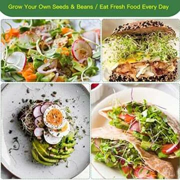 VOLCANOES CLUB Sprouting Lids Growing Kit - Fresh Sprouts Made Easy