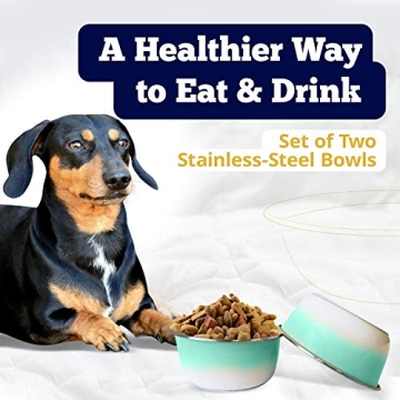 Deep Colored Stainless Steel Dog Bowls Set with Non-Skid Base
