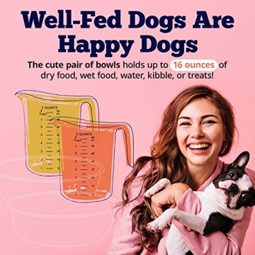 Deep Colored Stainless Steel Dog Bowls Set with Non-Skid Base