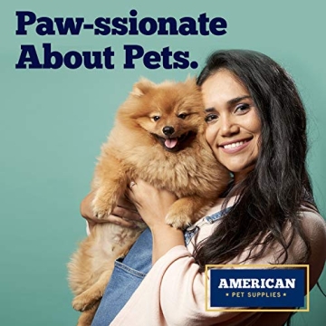 Deep Colored Stainless Steel Dog Bowls Set with Non-Skid Base