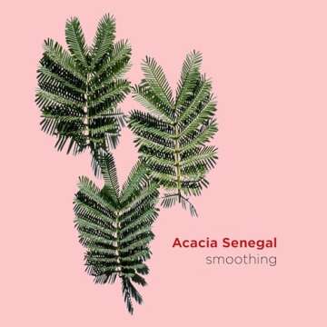 Clarins Instant Smooth Perfecting Touch Primer 0.5 Ounces