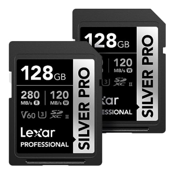 Lexar 256GB Professional Silver SDXC Card - Ultimate Performance for Creators