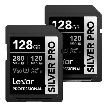Lexar 256GB Professional Silver SDXC Card - Ultimate Performance for Creators
