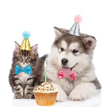 SATINIOR 4 Pieces Cat Birthday Hat and Bowtie Cute Reusable Dog Pet Headwear Adjustable and Collar Dog Headband Topper for Cat and Small Medium Dogs (Lake Blue and Pink)