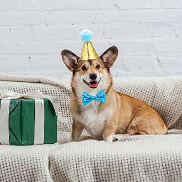 SATINIOR 4 Pieces Cat Birthday Hat and Bowtie Cute Reusable Dog Pet Headwear Adjustable and Collar Dog Headband Topper for Cat and Small Medium Dogs (Lake Blue and Pink)