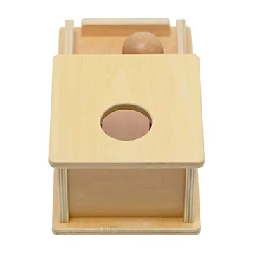 Montessori Object Permanence Box Wooden Toy for Kids