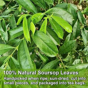 FullChea- Soursop Leaves Tea Bags, 40 Teabags, 1.5g/bag - Premium Soursop Graviola Leaves Tea - Hoja...