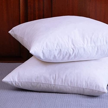 LunarTex Two Pillow Inserts, Down and Feather Throw Pillow Inserts, Cotton Fabric, 20X20 Inches