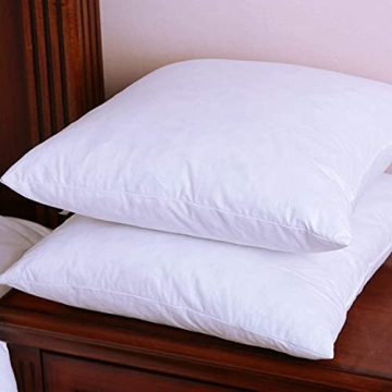 LunarTex Two Pillow Inserts, Down and Feather Throw Pillow Inserts, Cotton Fabric, 20X20 Inches