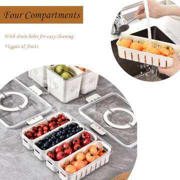 Portable Snack Tray with Lid, 4 Compartments for Parties