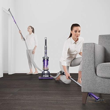 Dyson Ball Animal 2 Vacuum Iron Purple Certified Refurbished