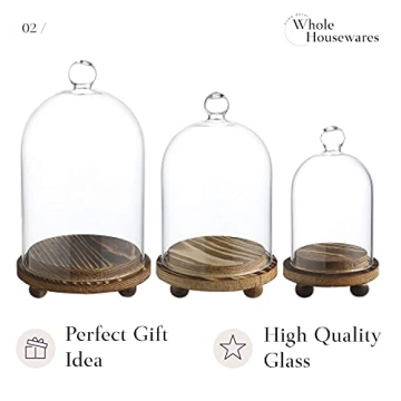 Mini Cloche Glass Dome Set of 3 for Elegant Display