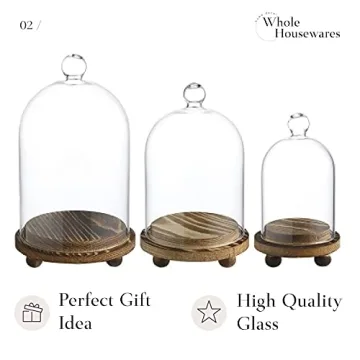Mini Cloche Glass Dome Set of 3 for Elegant Display