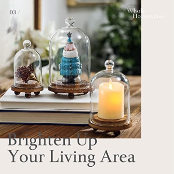 Mini Cloche Glass Dome Set of 3 for Elegant Display