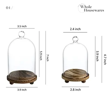 Mini Cloche Glass Dome Set of 3 for Elegant Display