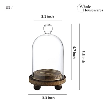 Mini Cloche Glass Dome Set of 3 for Elegant Display