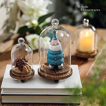 Mini Cloche Glass Dome Set of 3 for Elegant Display
