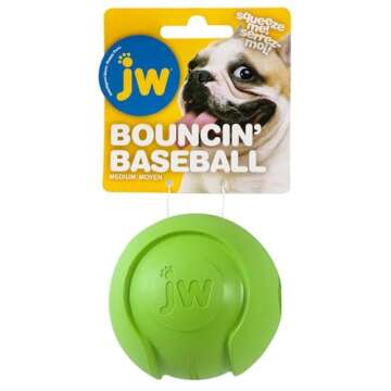 JW Pet Company iSqueak Bouncin' Baseball Dog Toy, Medium (Colors Vary)