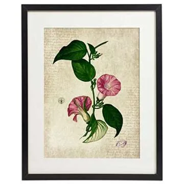 IDIOPIX Vintage Botanical Prints Set of 4 Unframed
