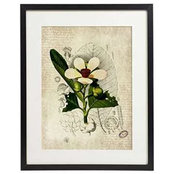 IDIOPIX Vintage Botanical Prints Set of 4 Unframed
