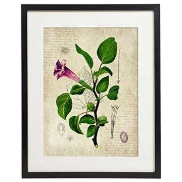 IDIOPIX Vintage Botanical Prints Set of 4 Unframed