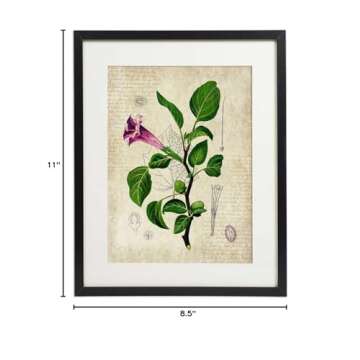 IDIOPIX Vintage Botanical Floral Print Art Home Wall Art Set of 4 Prints UNFRAMED No.3