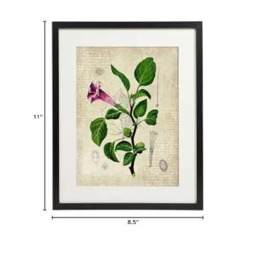 IDIOPIX Vintage Botanical Prints Set of 4 Unframed