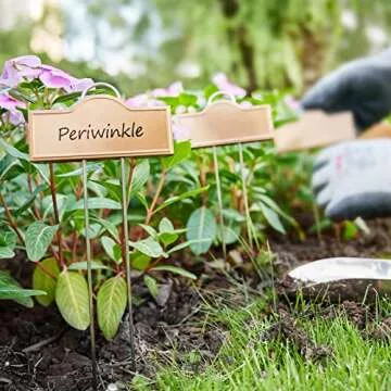 Stylish 25 Pack Metal Plant Labels for Outdoor Use