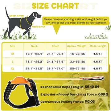 AMORONE Dog Harness for Large Dogs, Upgrade 2-in-1 No Pull Dog Harness & Retractable Dog Leash【Auto-Lock Function】 Large Dog Harness, Reflective and Adjustable Dog Harness with Control Handle