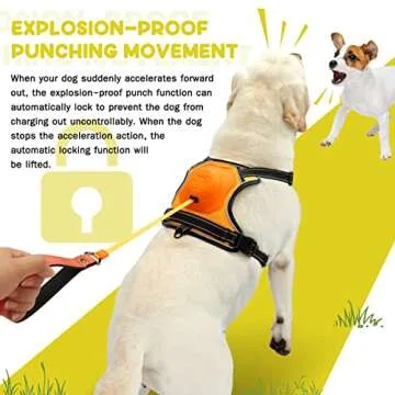 AMORONE Dog Harness for Large Dogs, Upgrade 2-in-1 No Pull Dog Harness & Retractable Dog Leash【Auto-Lock Function】 Large Dog Harness, Reflective and Adjustable Dog Harness with Control Handle