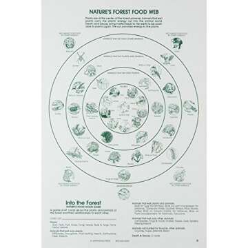 Ampersand Press 525326 Into the Forest, Nature's Food Chain Game