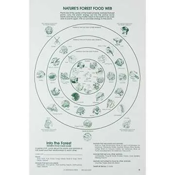 Ampersand Press 525326 Into the Forest, Nature's Food Chain Game