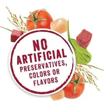 Purina Beneful Wet Dog Food Variety Pack for All Dogs