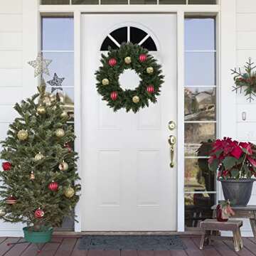 NORTHLIGHT Lush Mixed Pine Artificial Christmas Wreath, 24-Inch, Unlit