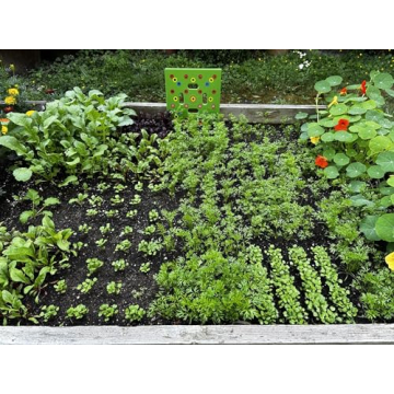 Seeding Square - Seed Spacer Tool for Maximum Harvest, Organized Plants & Less Weeds - Square Foot Garden Includes Color Coded Templates, Magnetic Dibber, Ruler, Spoon & Planting Guide