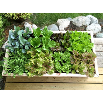 Seeding Square - Seed Spacer Tool for Maximum Harvest, Organized Plants & Less Weeds - Square Foot Garden Includes Color Coded Templates, Magnetic Dibber, Ruler, Spoon & Planting Guide