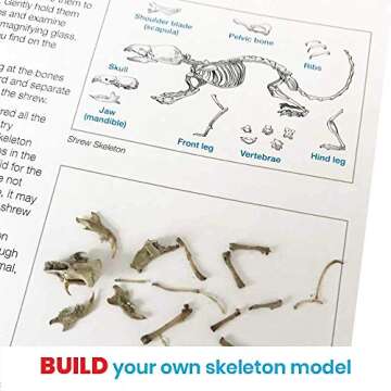 hand2mind Animal Science Kit for Kids 8-12, Kids Science Kit with Fact-Filled Guide, Learn About Animal Biology and Dissect Owl Pellets, STEM Toys, 10 Science Experiments