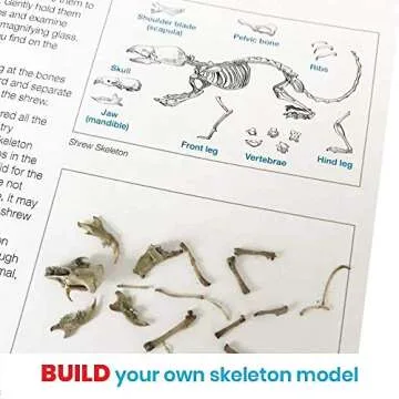 hand2mind Animal Science Kit for Kids 8-12, Kids Science Kit with Fact-Filled Guide, Learn About Animal Biology and Dissect Owl Pellets, STEM Toys, 10 Science Experiments