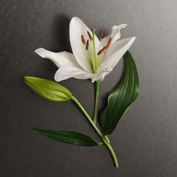 Calvin Klein Eternity Body Lotion with Timeless Fragrance 6.7 fl oz