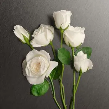 Calvin Klein Eternity Body Lotion with Timeless Fragrance 6.7 fl oz