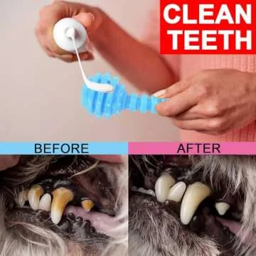 CGBD Puppy Toys - 6 Pack Chew Toys for Small Dogs